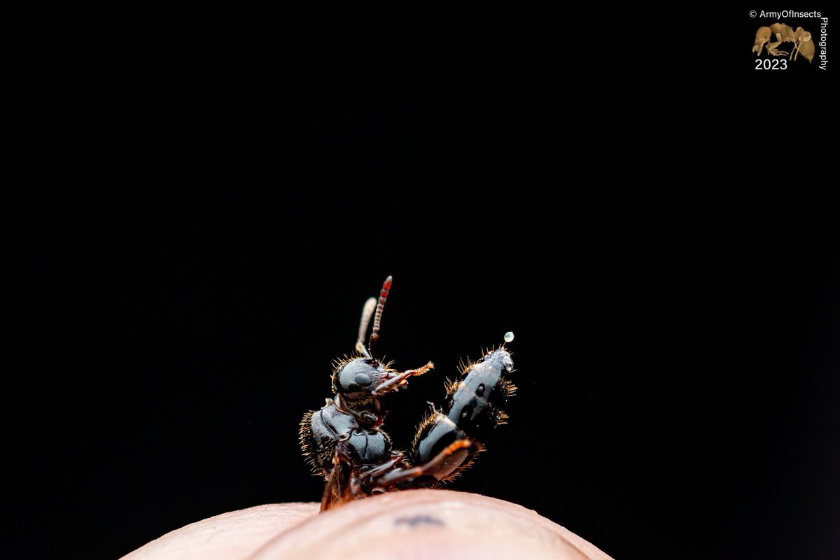 Josiah Kilburn tweet media