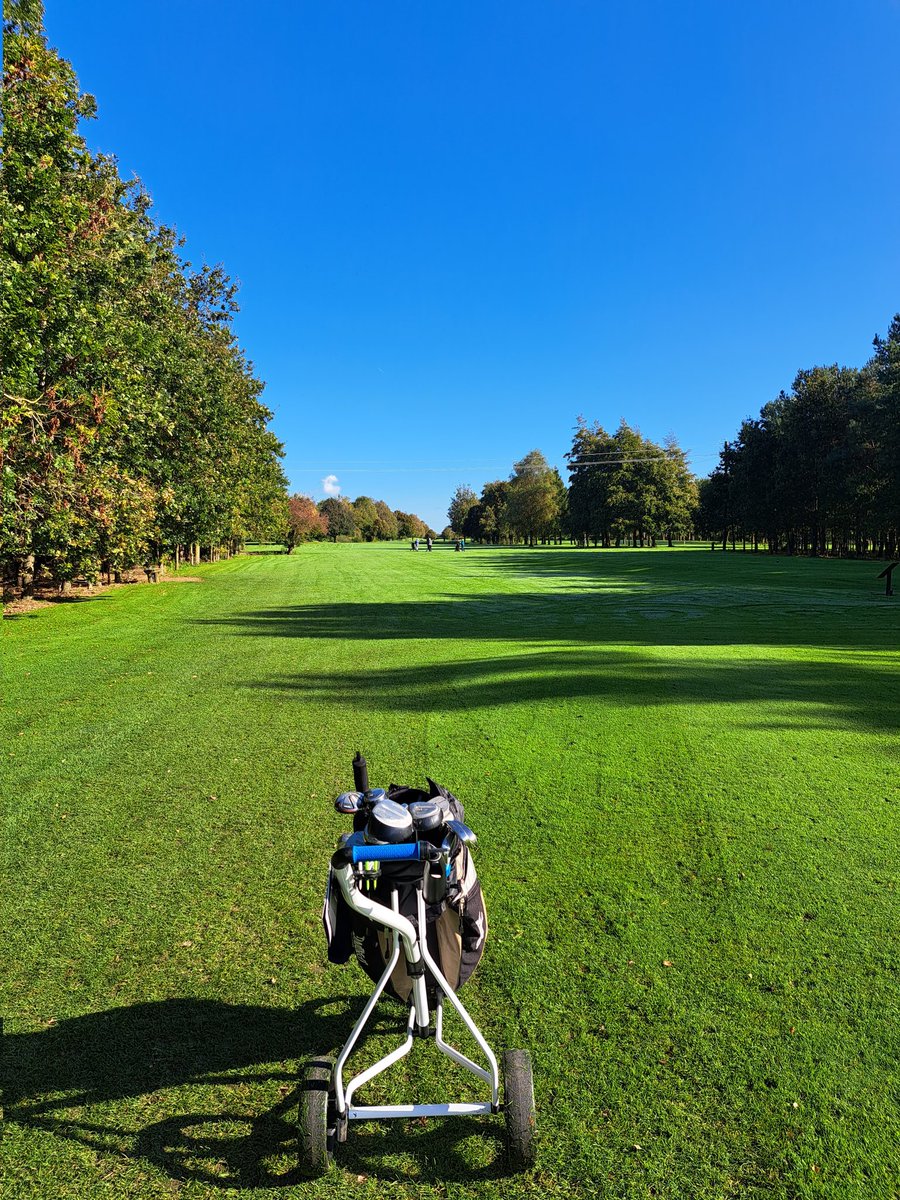 JO'Keeffe tweet media