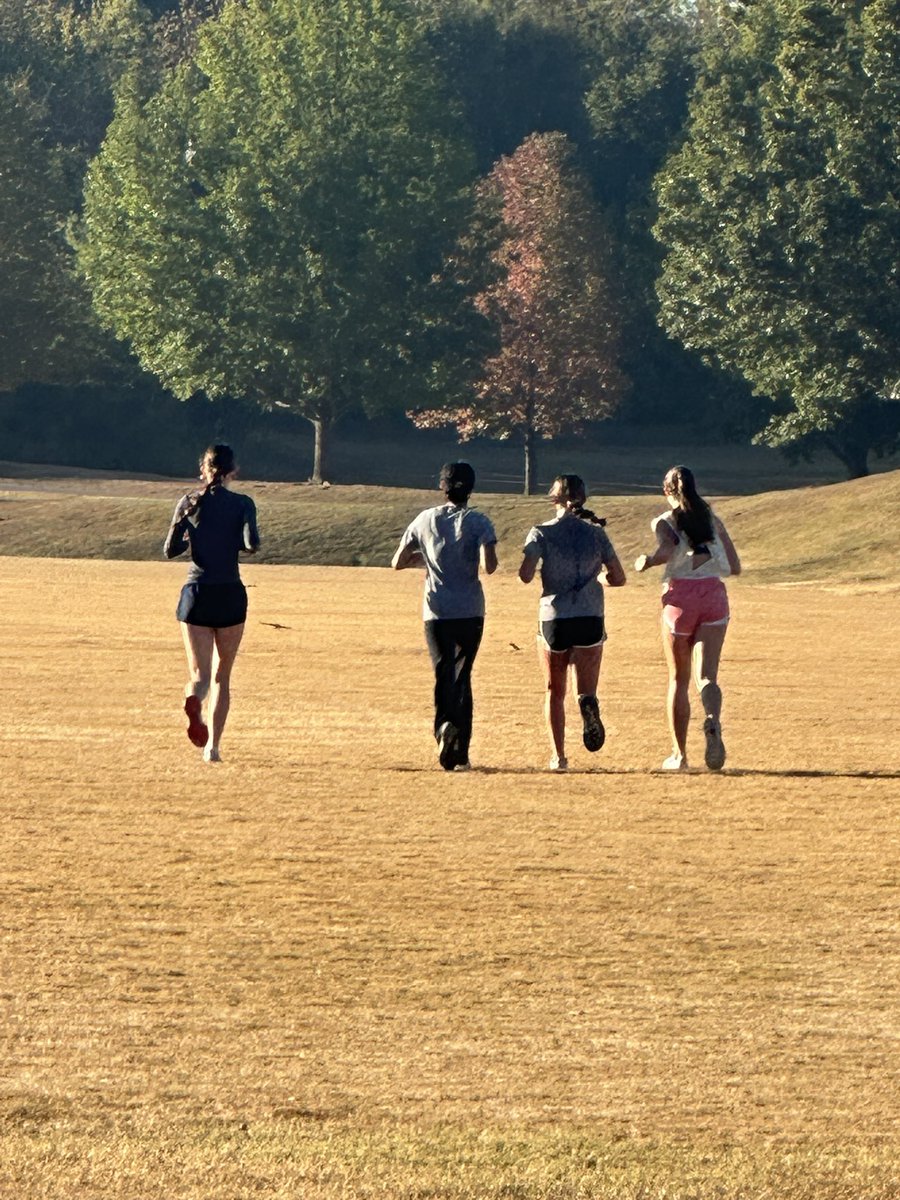 southdoyletrack's tweet image. Fall Break Cooldown
6x200m hill on region course 
Victor Ashe Park
#sdxc