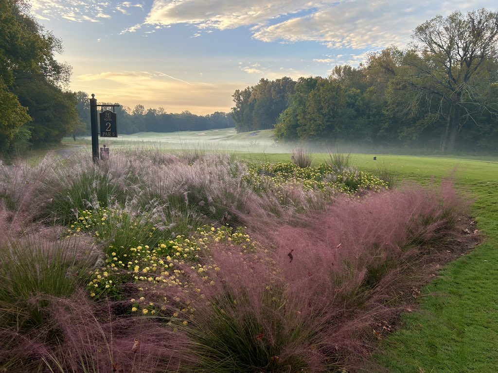 Happy Friday! #turflife  #mycarolinasmorning