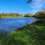 Photo by Nore Vision (Nore River Catchment Trust) (@nore_vision)