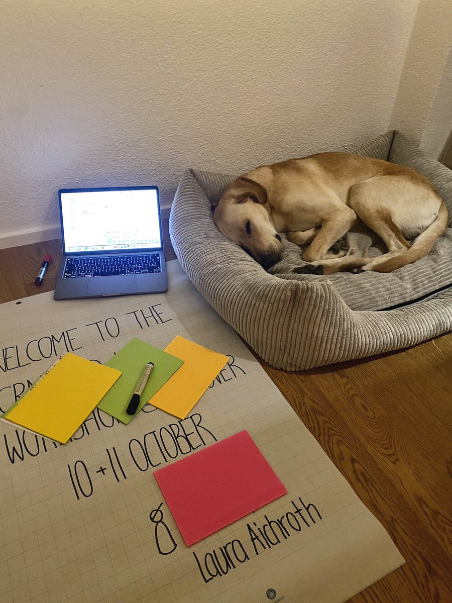 Simbi ist fix und alle von einer erfolgreichen Arbeitswoche - und ihr so? 🐶💤
#teamagile #workshop #agilescoaching #organisationsentwicklung #agilebitchclub #emotionalsupportdog