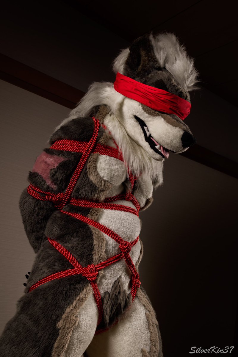 🐾闇狼Rouan🐾 tweet media