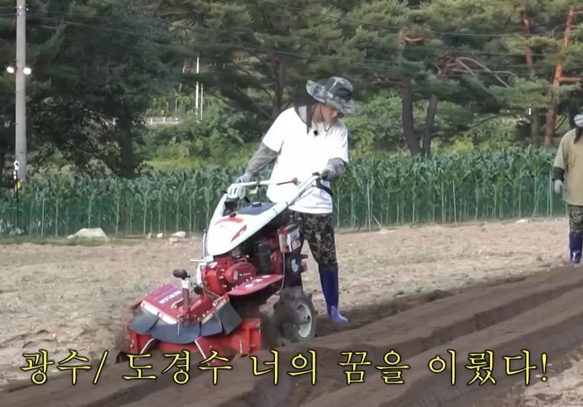 빵이!! tweet media