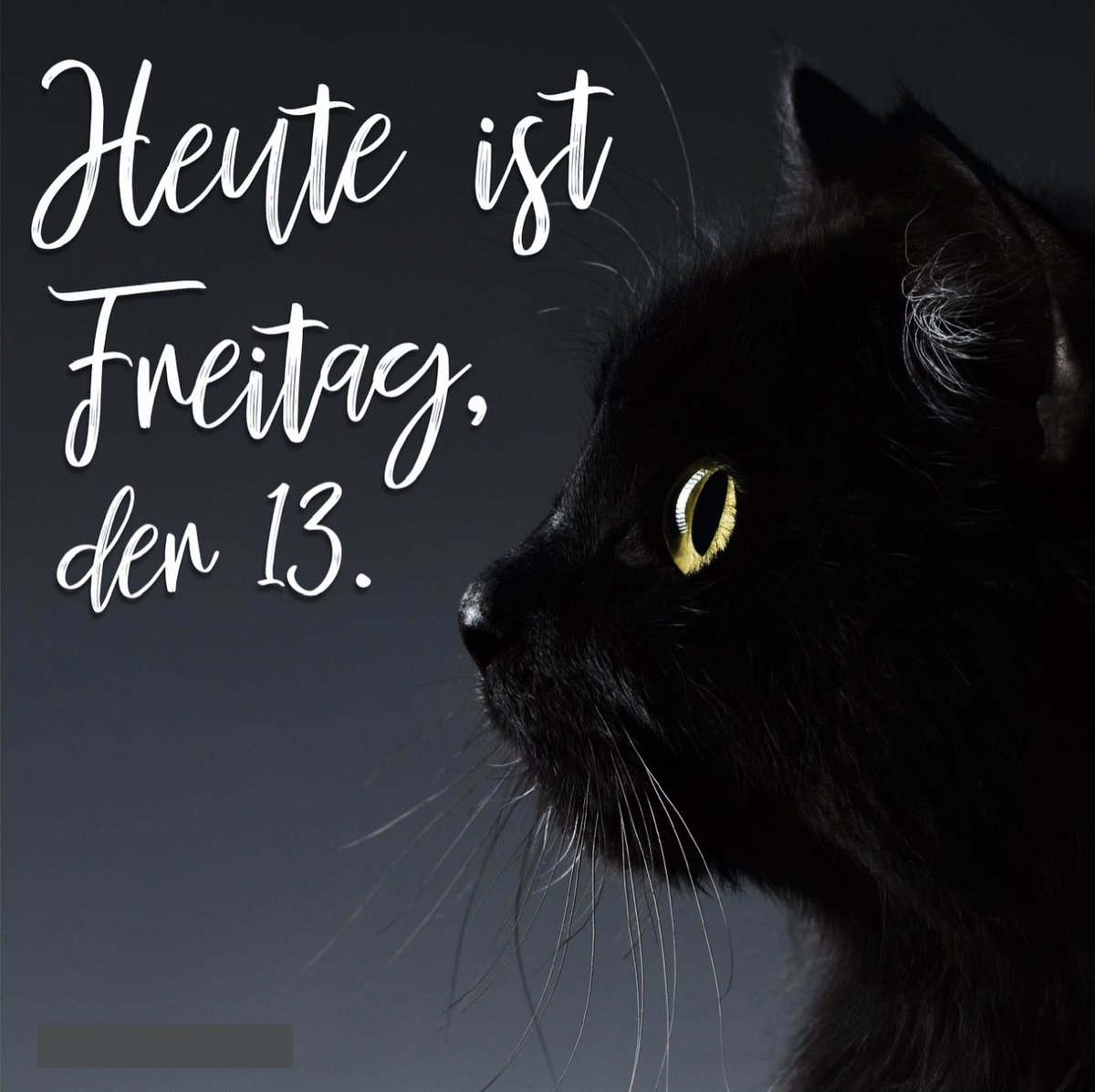 L__BNC's tweet photo. nur so… 😁 https://t.co/ERrEH4hsuC
