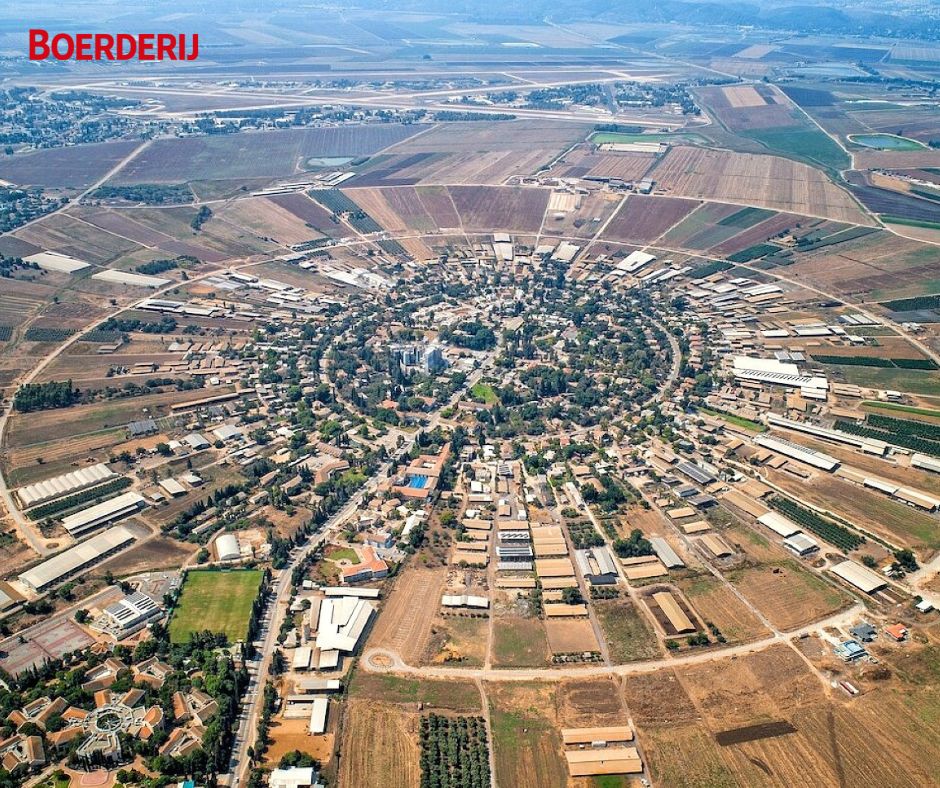 Tientallen melkveehouders en medewerkers zijn vorig weekend vermoord door Hamas-terroristen uit de Gazastrook. De terroristen braken zaterdagochtend door de grensversperringen met #Israël. #melkveehouderij #boerderij #gaza #IsraelPalestina boerderij.nl/israel-melkvee…