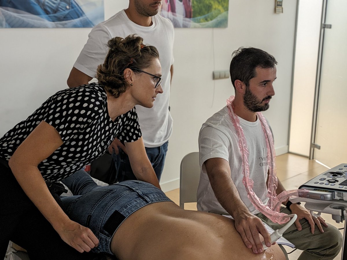 PRIM Physio tweet media