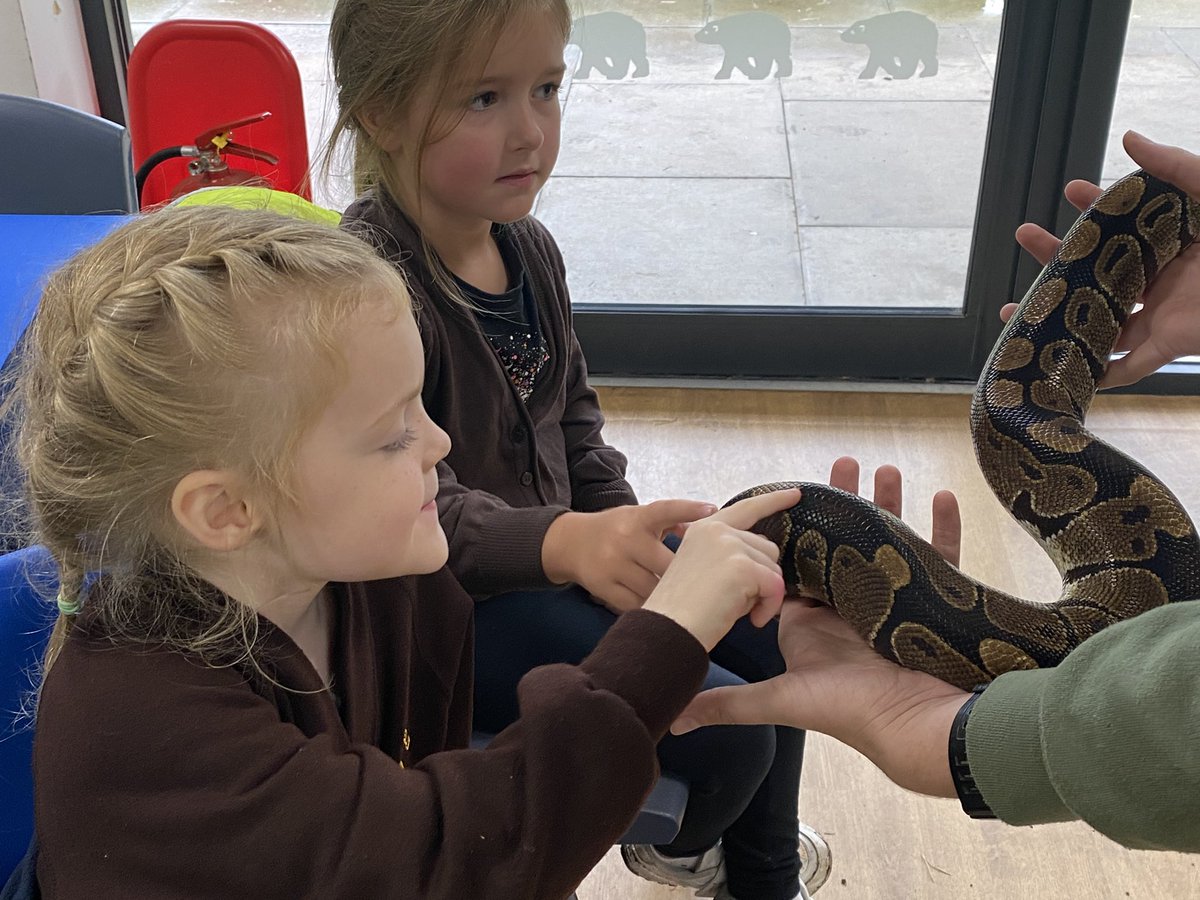 EastfieldPSHull's tweet photo. #1AW were very brave during our classroom session today, touching giant snails, snakes, cockroaches ๐ฑ, tiger skulls and camel fur! https://t.co/Eg4ZvUtzL0