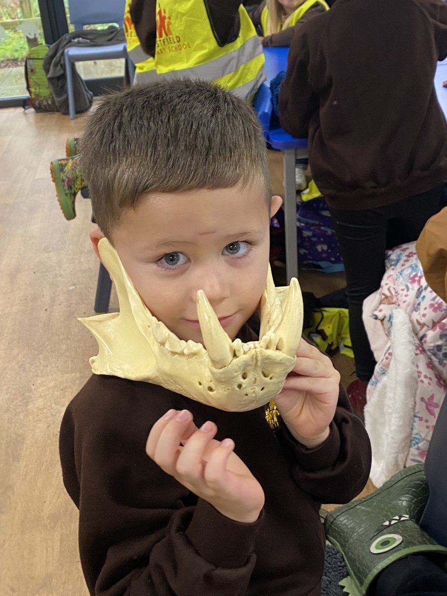 EastfieldPSHull's tweet photo. #1AW were very brave during our classroom session today, touching giant snails, snakes, cockroaches ๐ฑ, tiger skulls and camel fur! https://t.co/Eg4ZvUtzL0