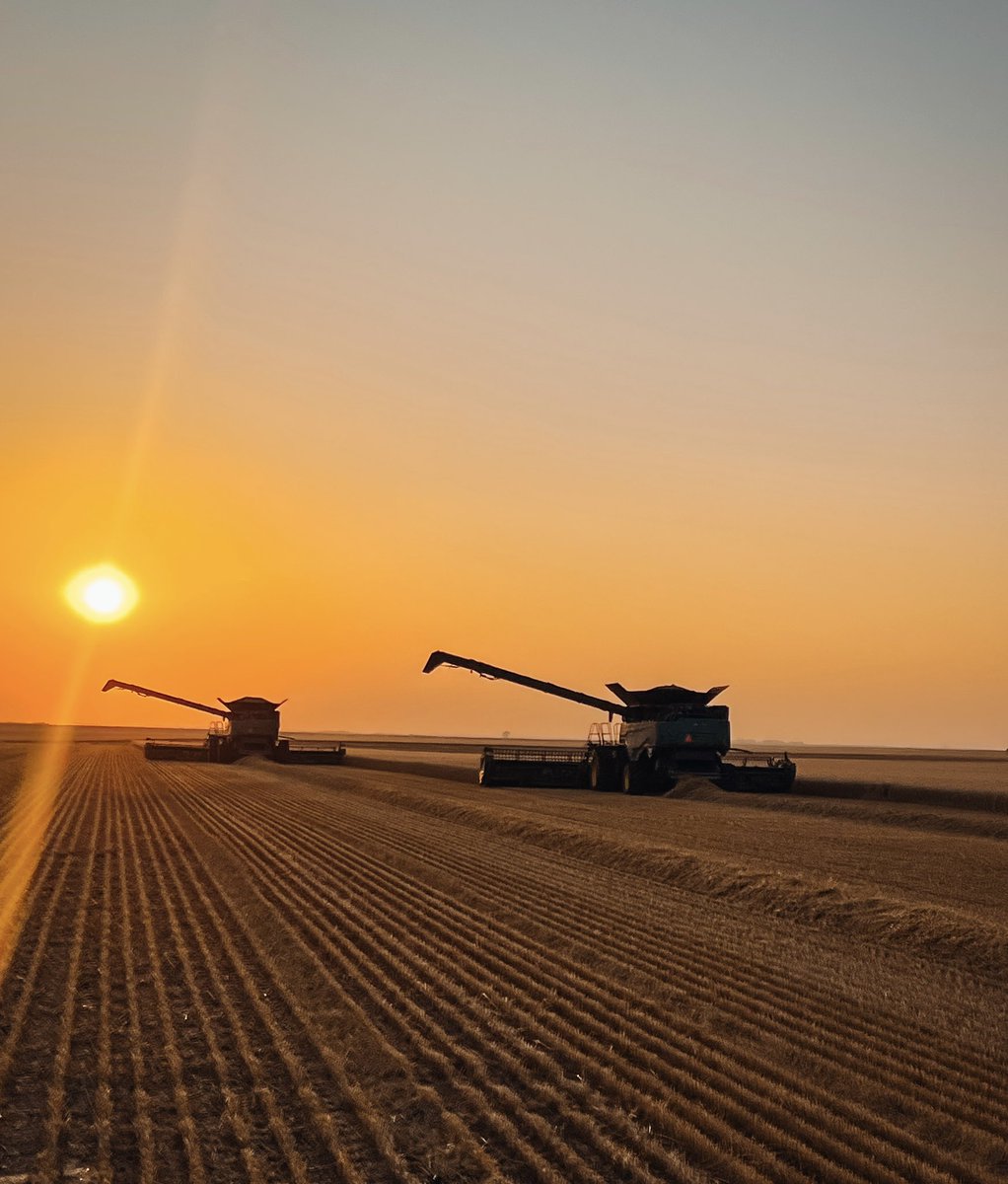 Lisa Anne tweet media