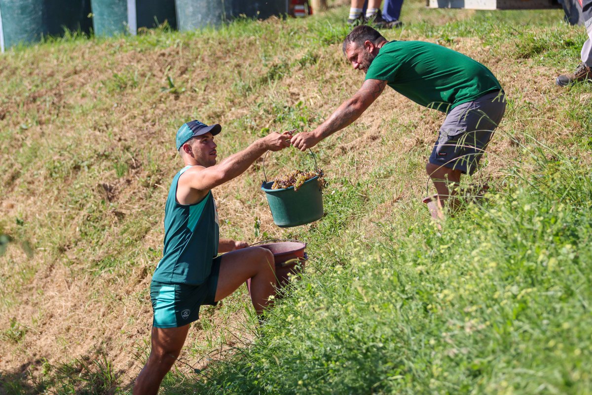 Section Paloise Béarn Pyrénées tweet media