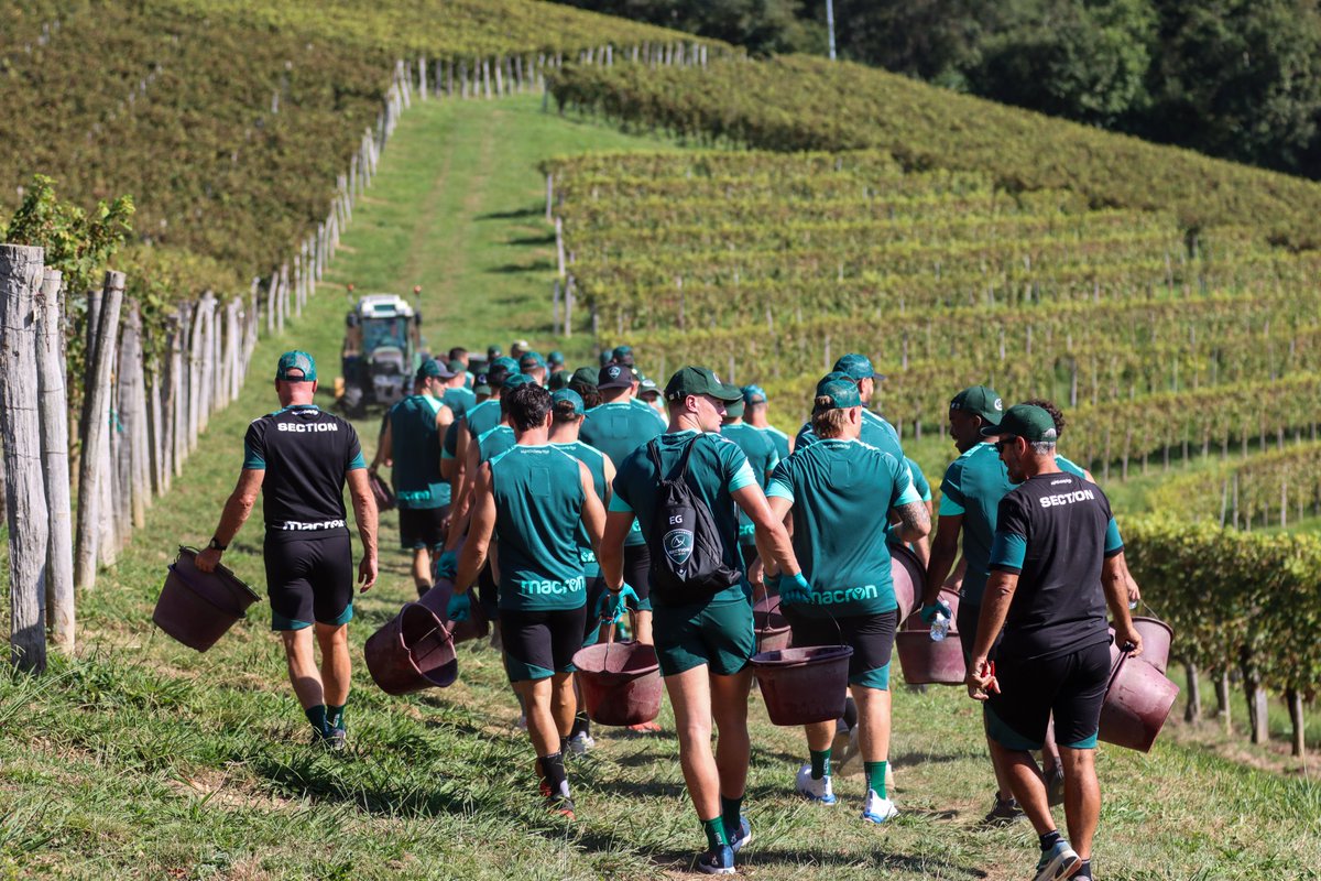 Section Paloise Béarn Pyrénées tweet media