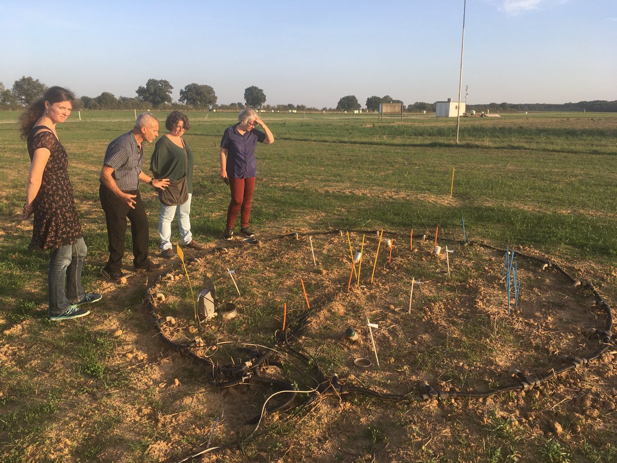 CPoeplau's tweet photo. Back from a productive @EJPSOIL  @EEnergylink WP meeting in beautiful Lusignan. Many thanks to our great host @ChabbiAbad to showing us around the lovely farm and inspiring field experiments, where Sorghum has replaced Maize due to enduring drought. https://t.co/Opdwa33y9U