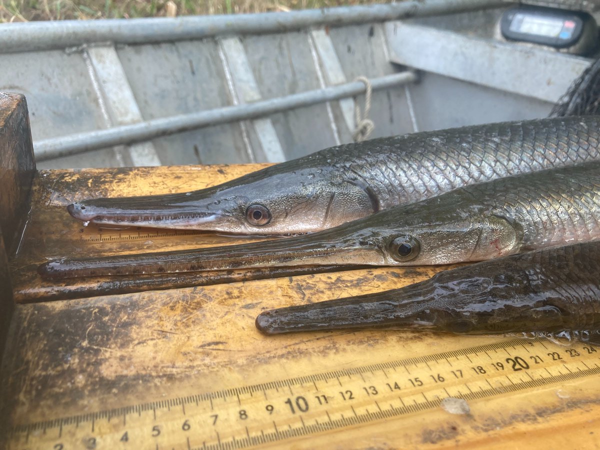 Illinois River Biological Station tweet media