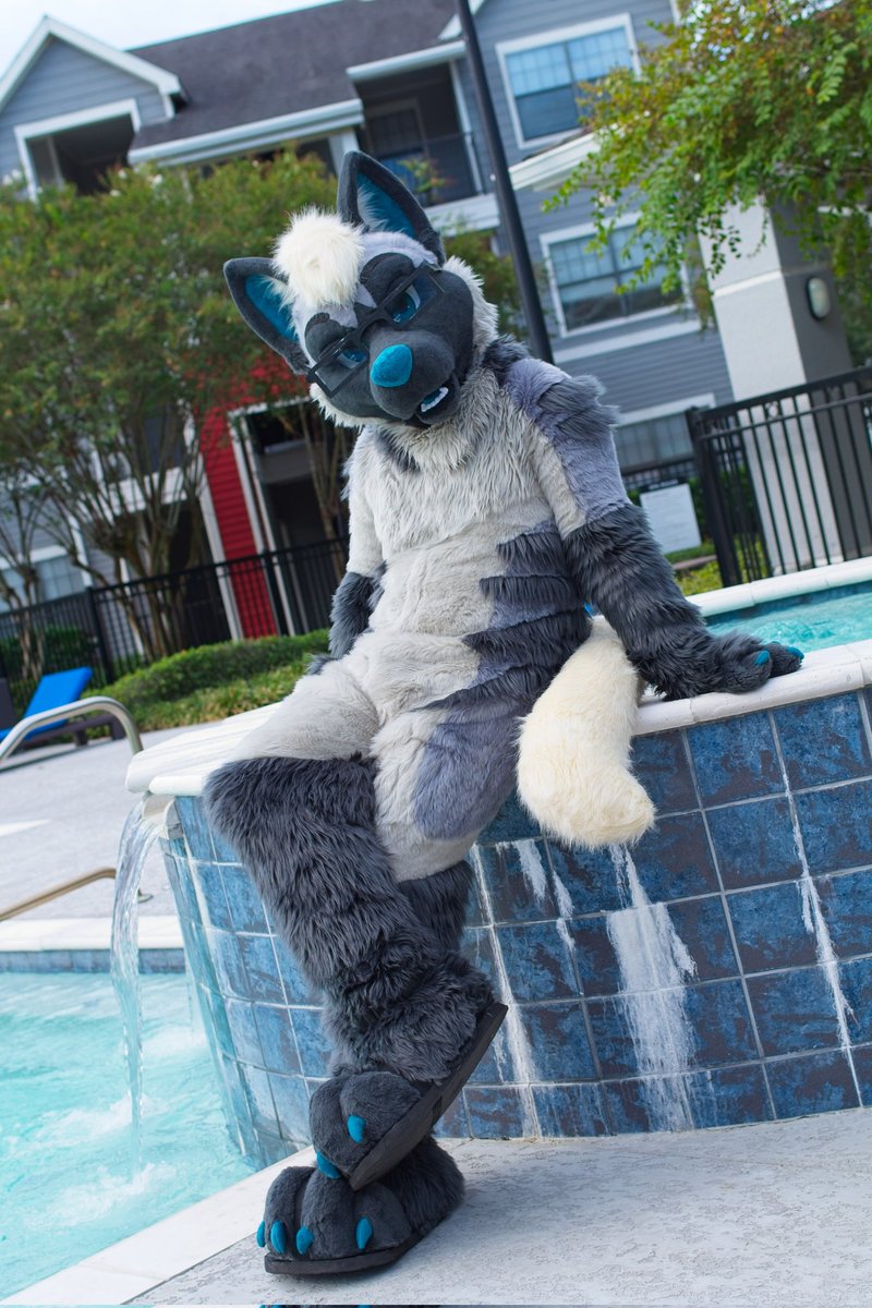 Hoppin' n Chompin' tweet media