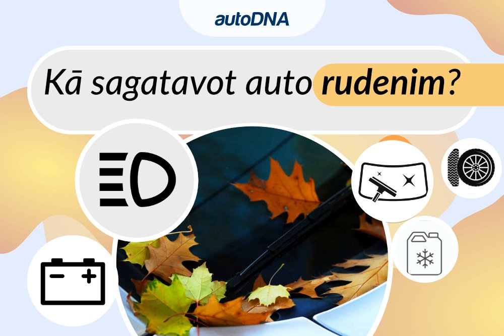 autoDNA_lv's tweet photo. Vai zināji, ka rudens periods var būt daudzos veidos grūtāks par ziemas periodu. 👉 https://t.co/lCLvfE7ZH0 

👉 Ko var darīt pats?
👉 Kas tiek uzticēts autoservisam? 

#autoDNA #Rudens #sezona https://t.co/lP9rqB14UV