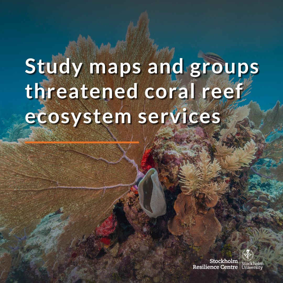 What trade-offs and synergies exist among ecosystem services produced by coral reefs

Our researchers <a href="/KaraPellowe/">Kara Pellowe</a>, <a href="/meganmeacham/">Megan Meacham</a>, @resilienceSci and <a href="/StevenLade/">Dr Steve Lade @steven.lade@fediscience.org</a> studied links and distribution of coral reef ecosystem services in 18 countries.

Read more: buff.ly/3QbLLZf