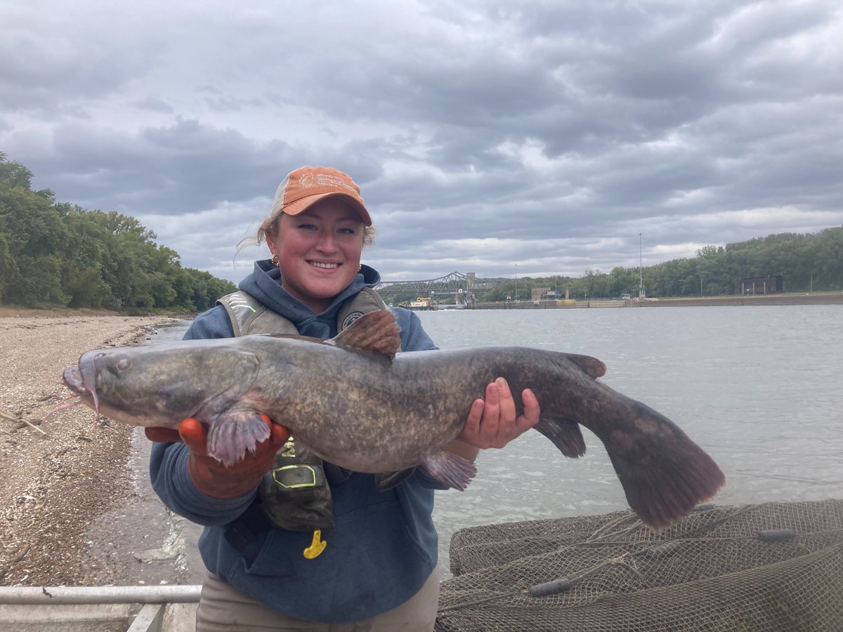 Illinois River Biological Station tweet media
