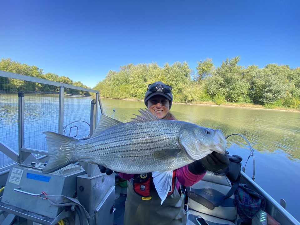 Illinois River Biological Station tweet media