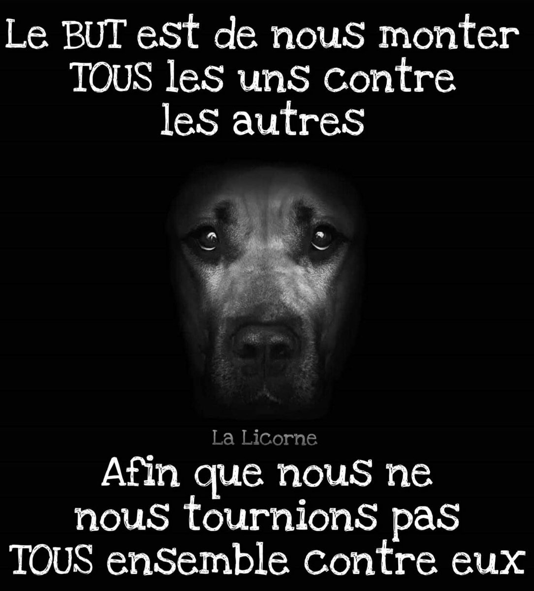 NBouvierOff's tweet image. #Arras #SamuelPaty #HamasMassacre #Gaza #Israel #AllahAkbar #Gambetta #FicheS #Ukraine️ #Russie #Armenie