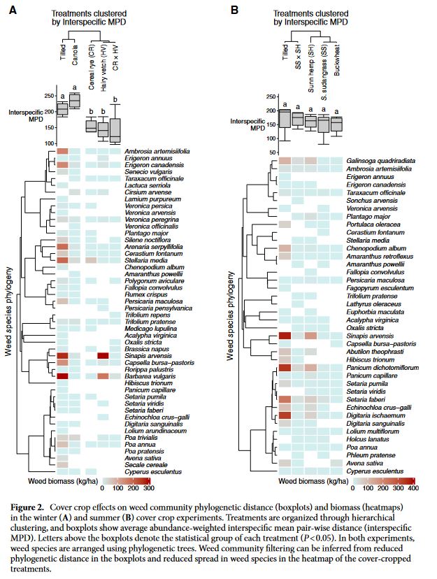 scordeau_inra's tweet photo. #Phylogenetic relatedness can influence #covercrop-based #weed suppression
▶️ main conclusion of the paper led by @UMenalled @Cornell out in @SciReports @NaturePortfolio have a look here https://t.co/yxAhMH59Rp https://t.co/uFh0zpzddx