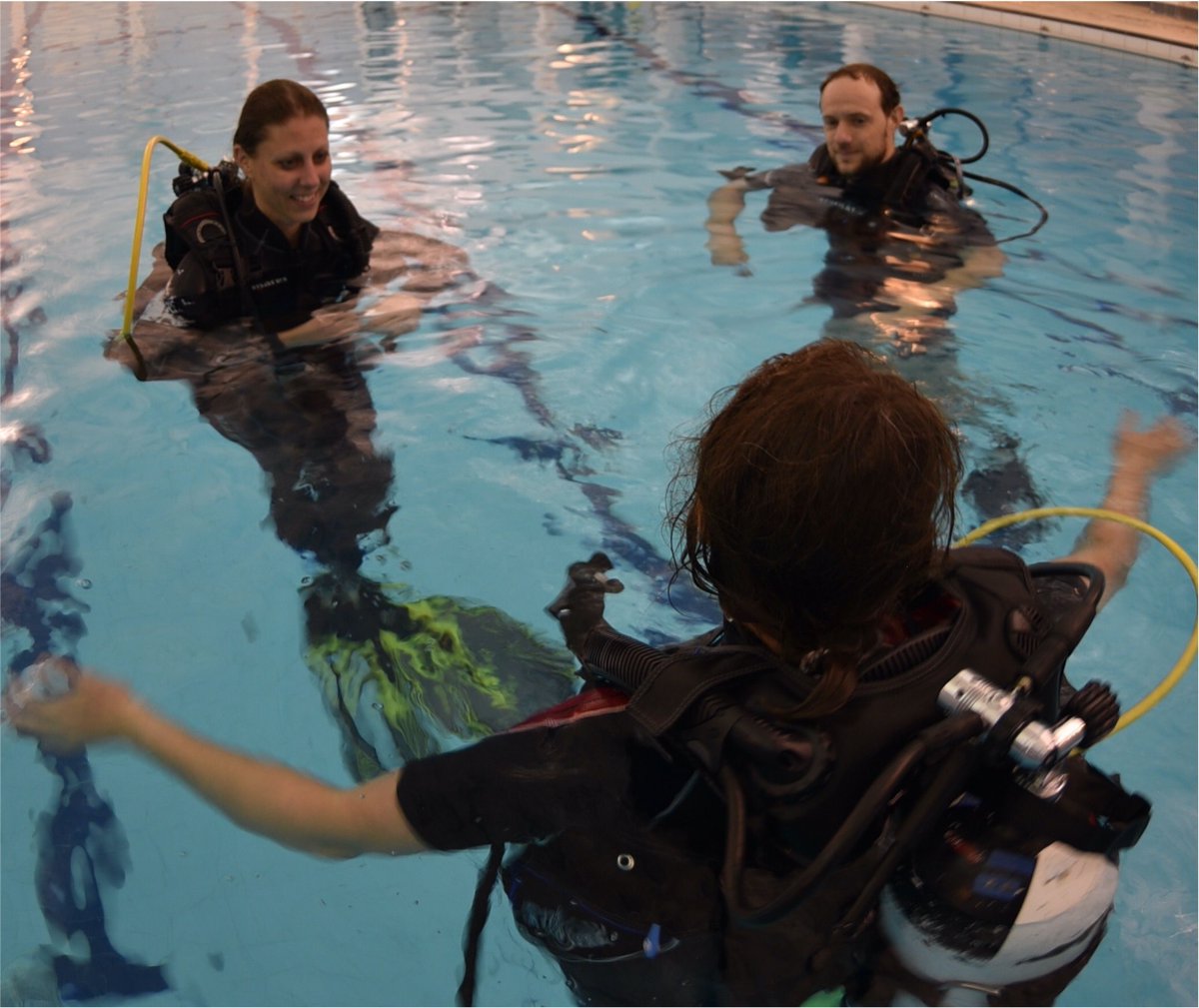 Dive90uk's tweet image. 🤿 Keep your scuba skills fresh by coming to the Dive90 pool nights every Tuesday at 20:30! 
🤿 Contact the shop for more information 01242 680003 or info@dive90.com
#scuba #diving #poolnights #dive90