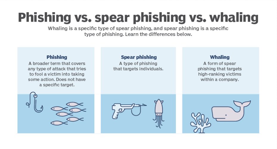 ISSservice's tweet photo. 🔍💻Beware of #WhalePhishing 🐋This cybercrime tactic, attackers target high-profile individuals using deceptive emails and social engineering.  We encourage all @DCU staff &amp; students to stay vigilant, verify unusual requests, and protect your data! #ThinkB4UClick #CyberSecMonth https://t.co/aBlYZhWOEh