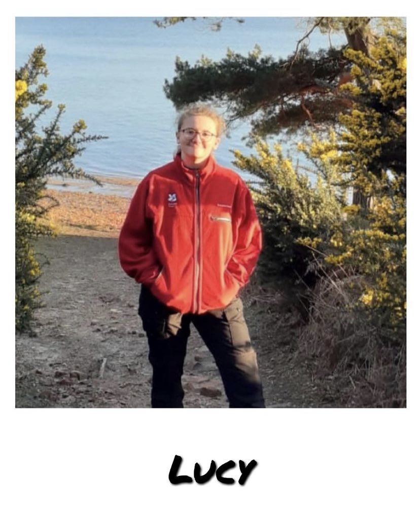 Corfe Hills 6th Form tweet media