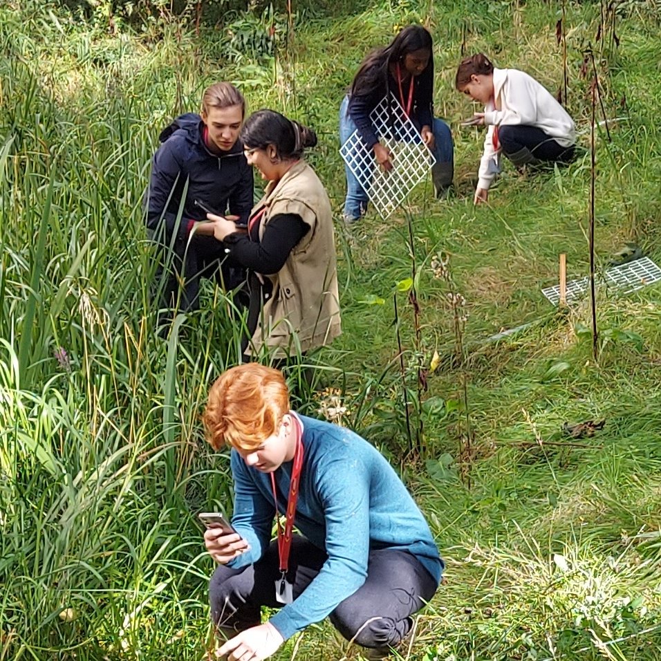 Our Year 2 biologists enjoyed exploring the local #ecosystem 🌾
They studied pondside plants + observed vegetation changes from pond edge to bank top, honing their species identification skills + gathering data to decipher plant distribution.🌱🔍🏞️ 
#STEMeducation #ecology
