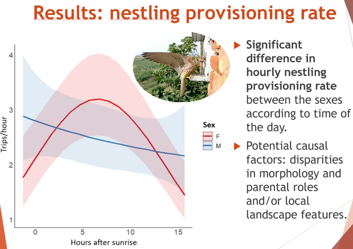 @lifefalkon tweet media