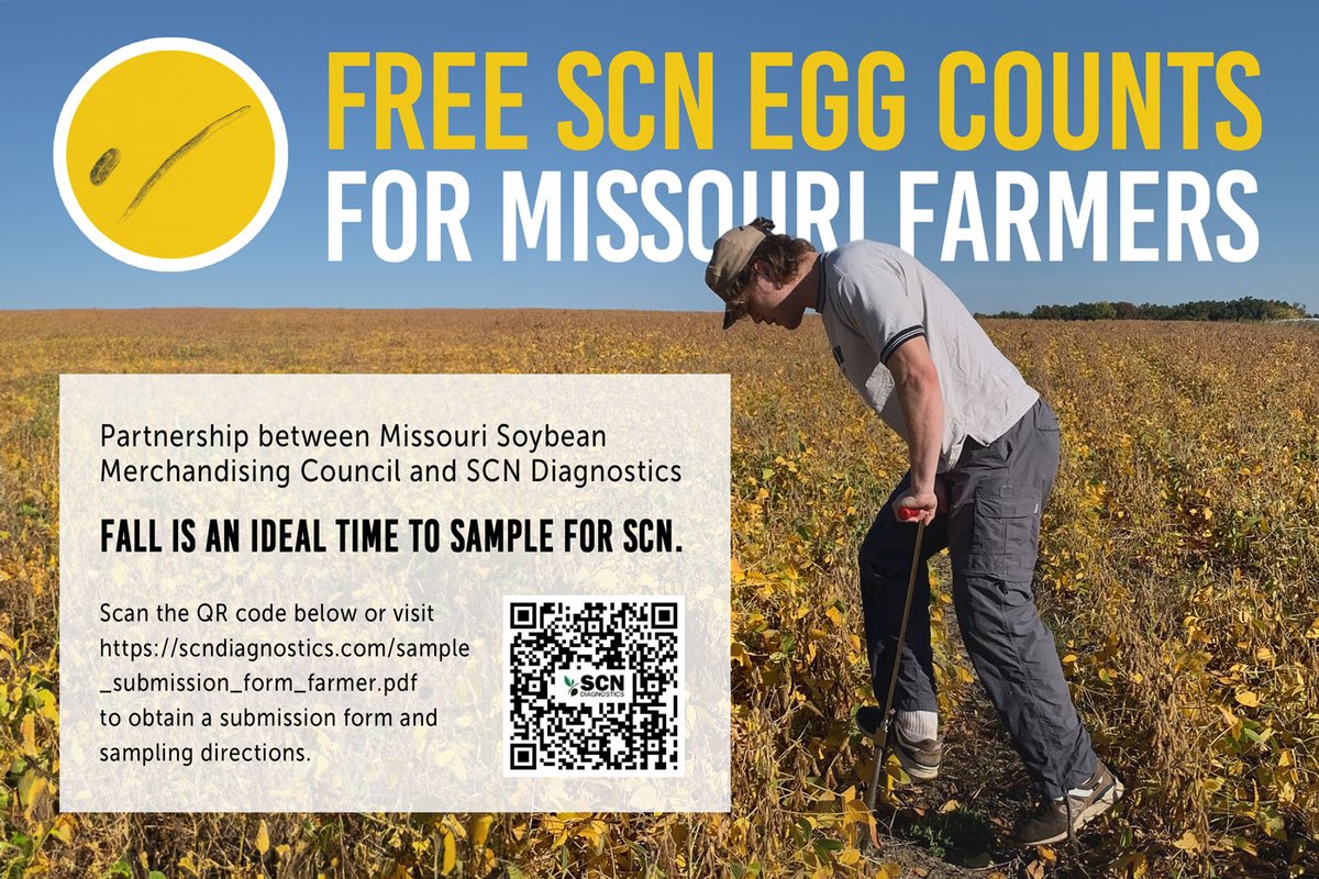 Missouri Soybeans tweet media