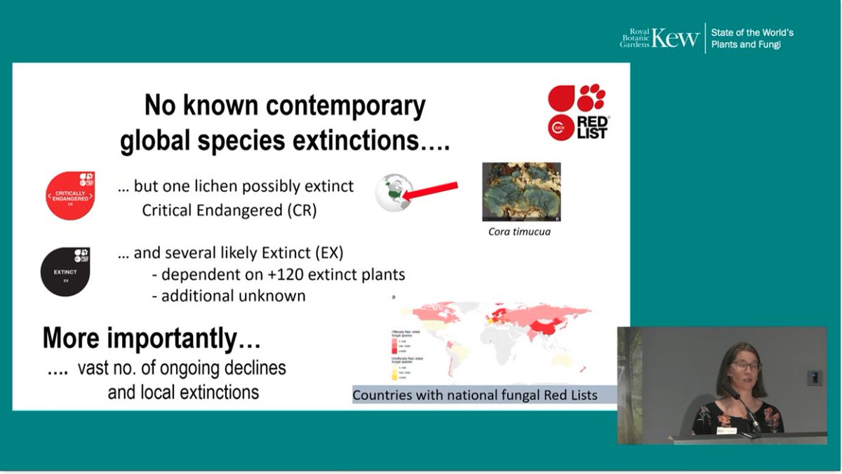 Prof Phil Stevenson tweet media