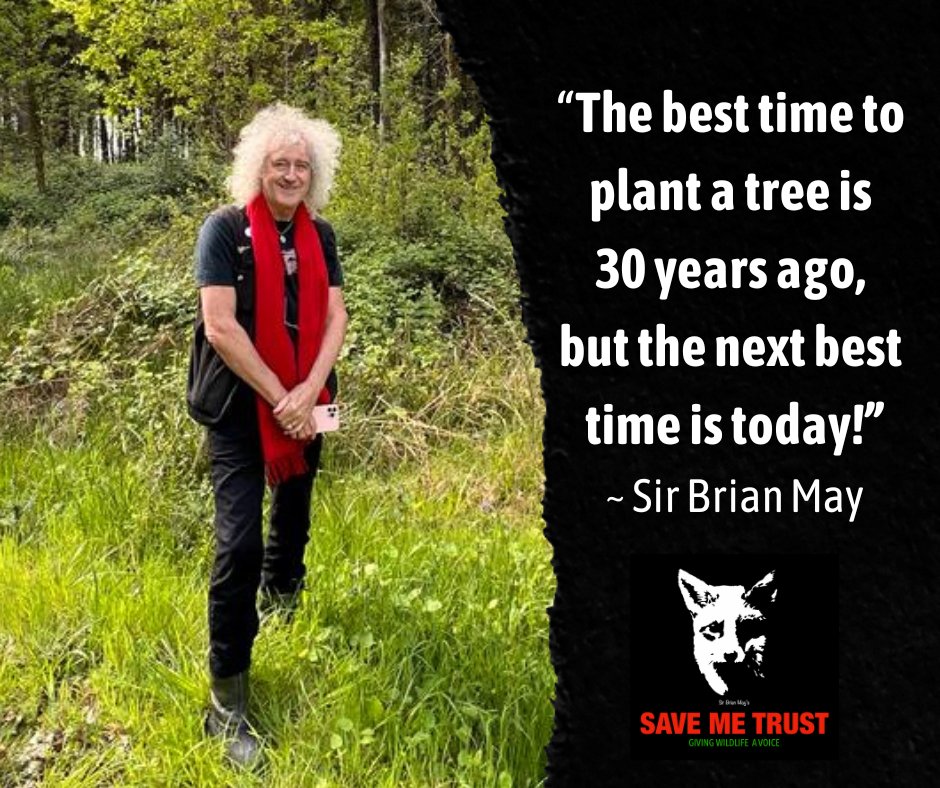 SaveMeTrust's tweet photo. “There’s an old saying, the best time to plant a tree is 30 years ago, but the next best time is today. We can all do something to help this beautiful country of ours.” - Sir Brian May. #SaveMeTrust
Read more about rewilding to secure wildlife habitats: https://t.co/BR8OXiFe0d https://t.co/gtmHT70XUX