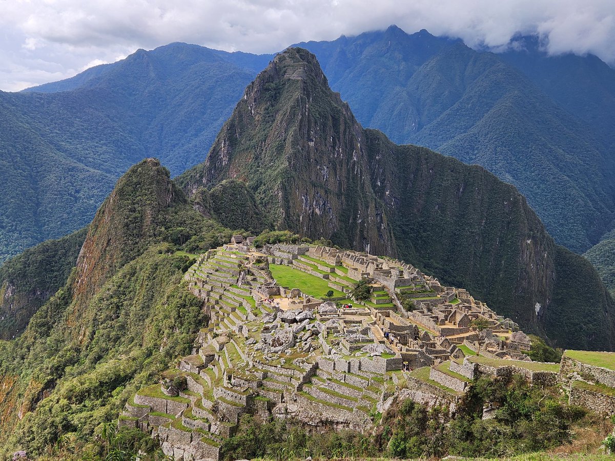 Carmit DiAndrea tweet media