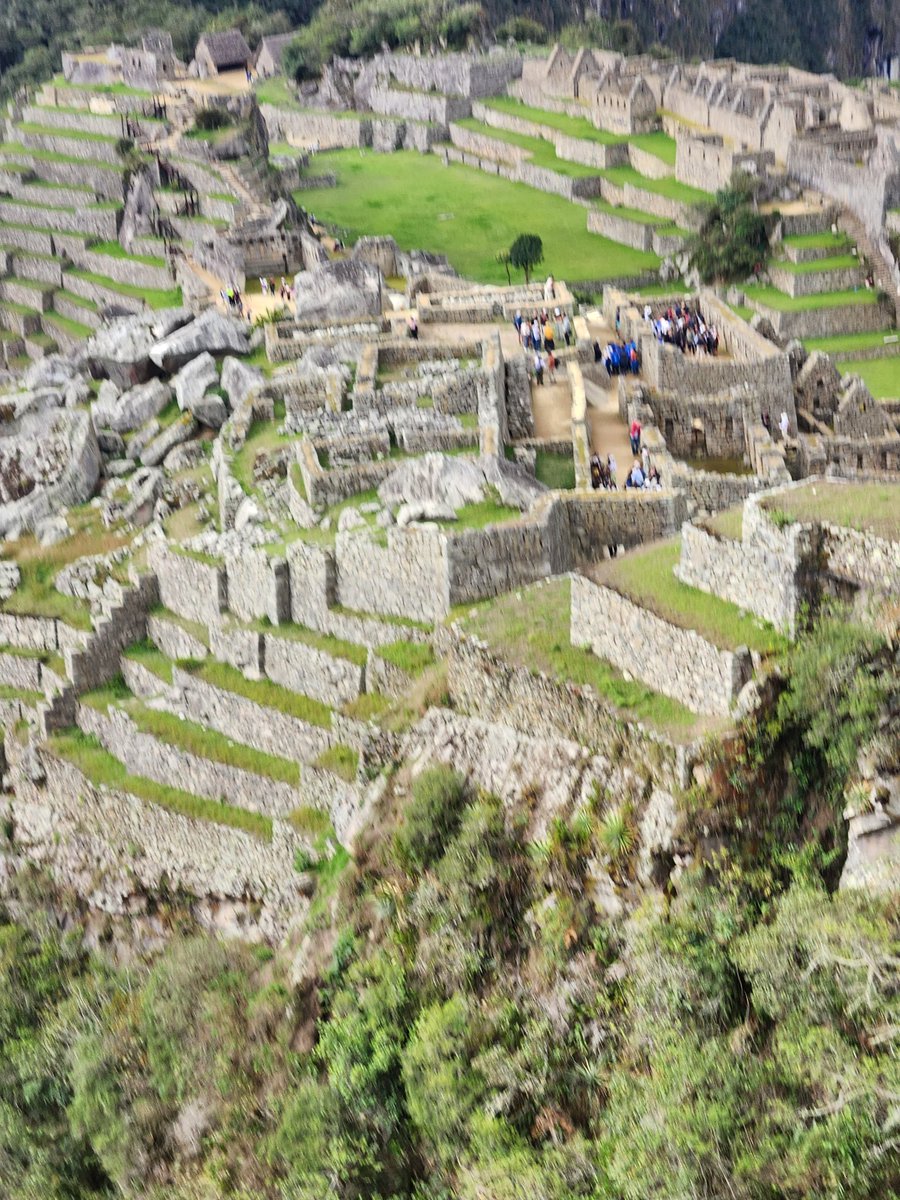 Carmit DiAndrea tweet media