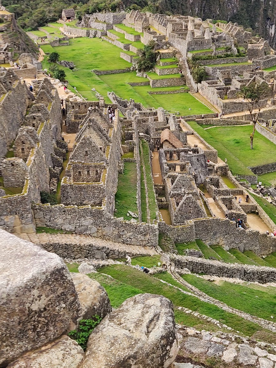 Carmit DiAndrea tweet media