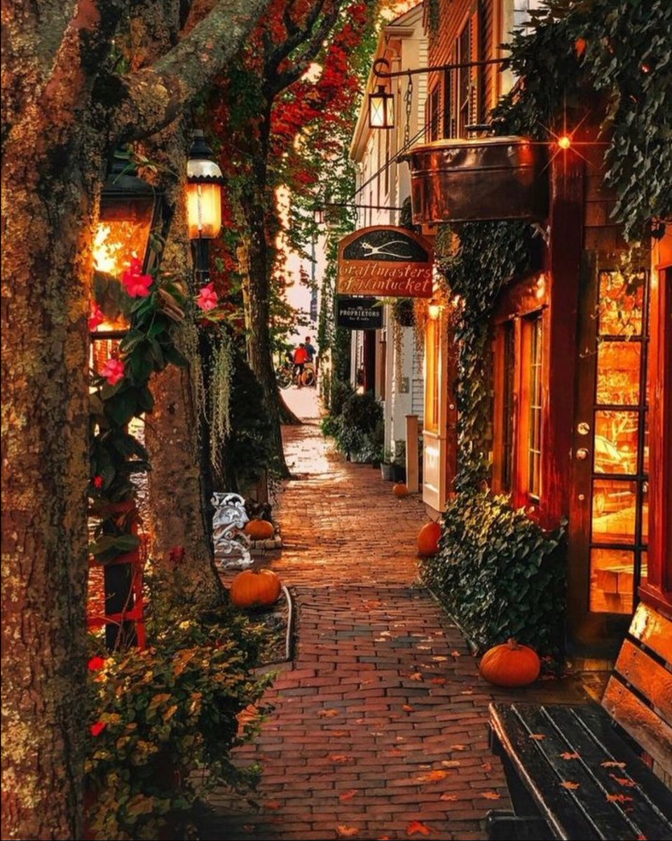 The beauty of Autumn.