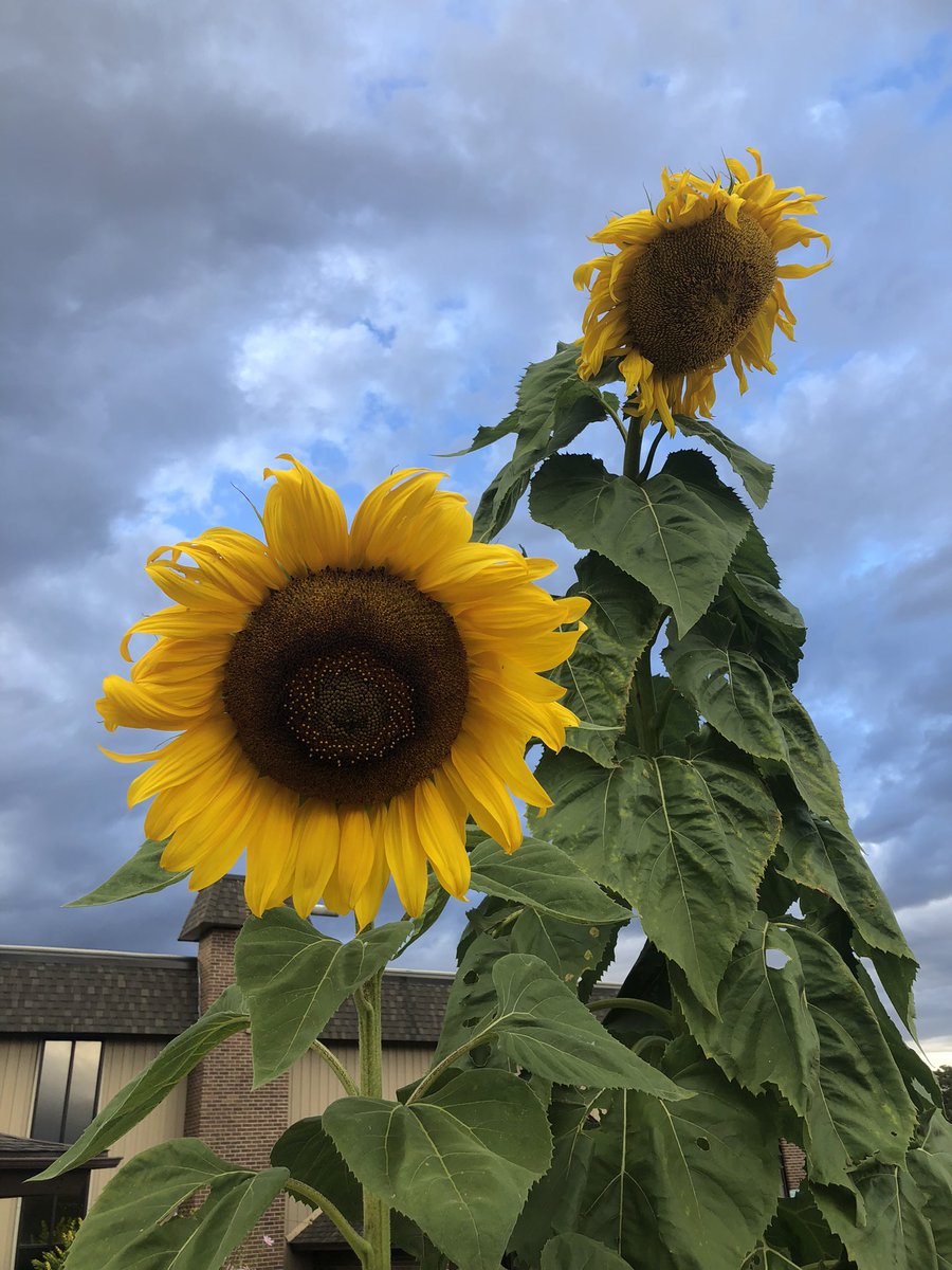 LinLeePan's tweet image. 10.12.23.    #Traci.