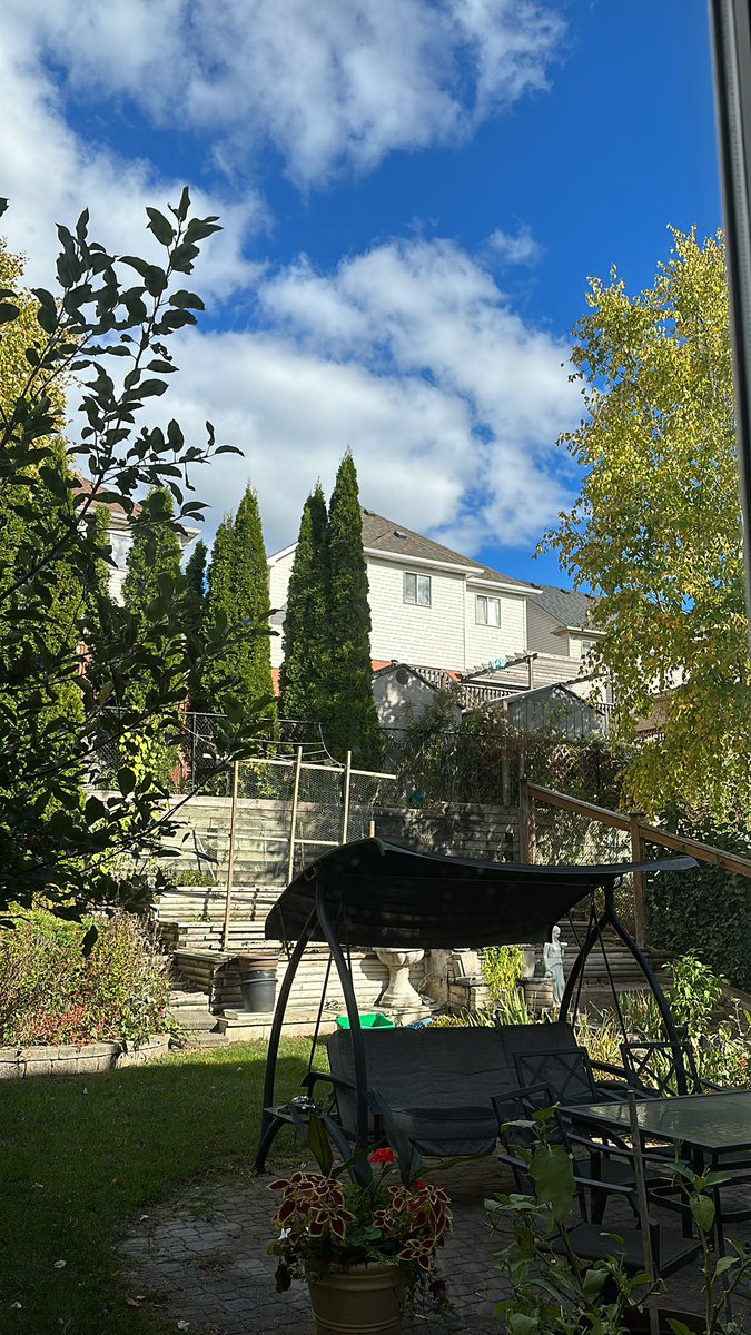 TanviD1611's tweet photo. @ClaudineBonner Bright and sunny 🌞 https://t.co/92OQAcHnT7