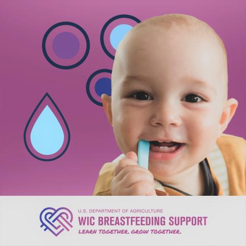 For some breastfeeding mamas, teething can be a sore subject! If your baby is experiencing discomfort while teething, you can give them a cold, wet washcloth before breastfeeding to help soothe the pain. ️
#Motherhood #WICbreastfeeding #WICspeaksBF #BreastfeedingTips #teething
