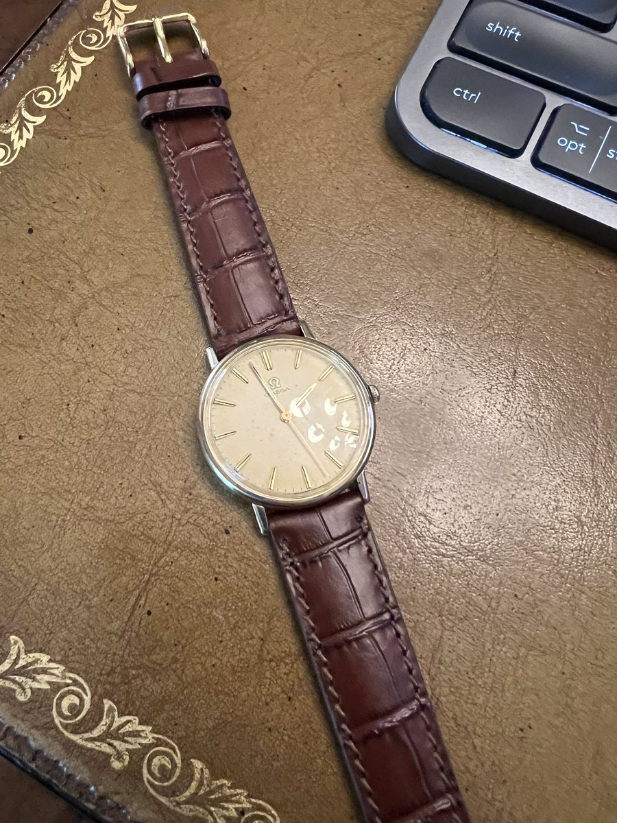 boring.cars 🐗🚘 tweet media