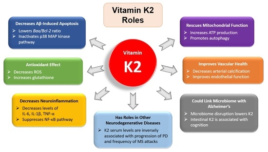 Friday Hope: Vitamin K2: Reversing Calcification and Attenuating COVID-19 Severity

Vitamin K2 may prove to be an indispensable therapeutic in treating COVID, NeuroCOVID and Spike Protein pathologies.

wmcresearch.substack.com/p/friday-hope-…