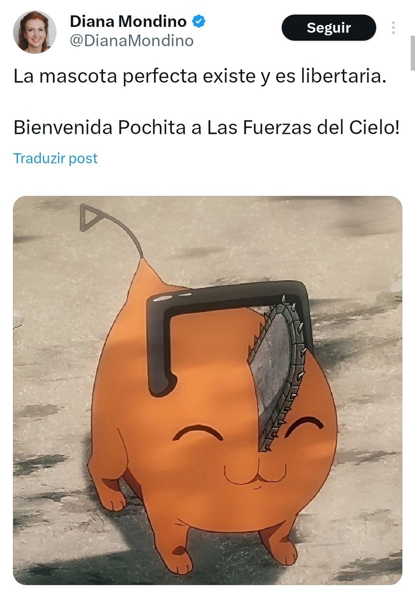 AssLatam's tweet photo. Diana Mondino, Milei's likely Foreign Affairs Minister if elected, answered this comparison by welcoming Pochita into Milei's election team, saying that he is the "perfect mascot" and a "libertarian". https://t.co/QA59Jzx0z7