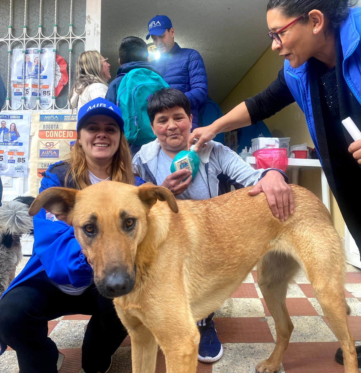 ClauSuarezJAL85's tweet photo. Porque nuestras Mascotas🐶🐱 tambien importan, estuvimos en compañía de la @fundacionopam en la upz 89 de la localidad de #Chapinero, llevando bienestar a nuestros animales de compañía y economía a sus familia!.

Vota MIRA 8️⃣5️⃣ a la JAL de Chapinero y 5️⃣ al Concejo de Bogotá. https://t.co/2oqQN7acyo