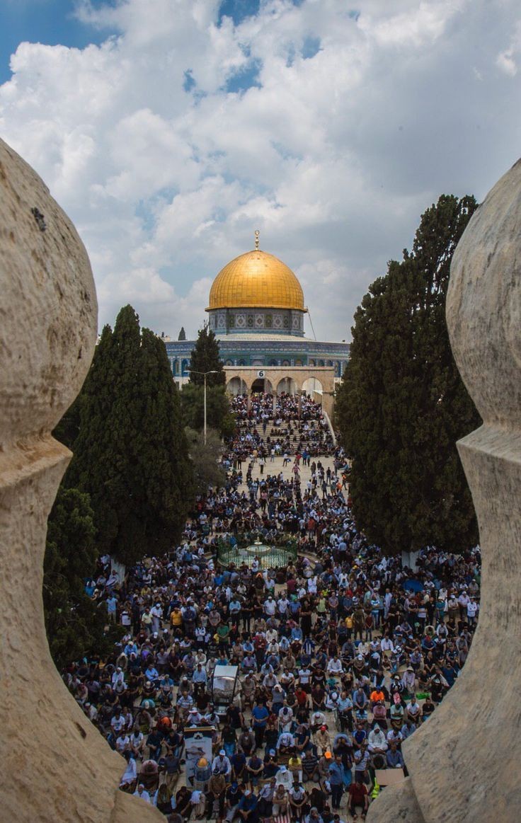 Al__Quraan's tweet photo. Allah stands with Palestinians 🇵🇸 https://t.co/Hu2K6wszRO