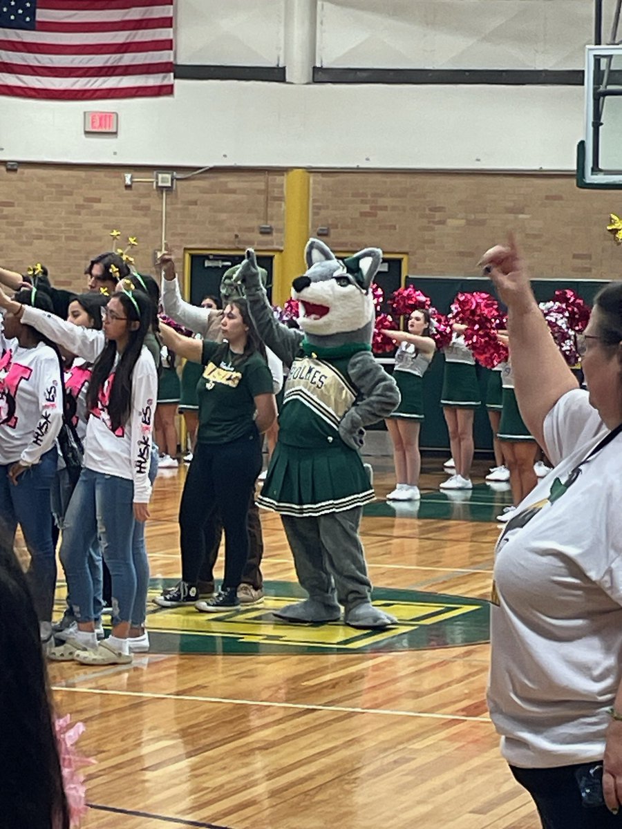 HolmesCounselor's tweet photo. Our very own, Ms. Cantu, reprised her role as mascot at the pep rally this morning. Go Huskies! 💚💛🐾 @NISDHolmes @NISDCounseling https://t.co/S4UTDVAk8l