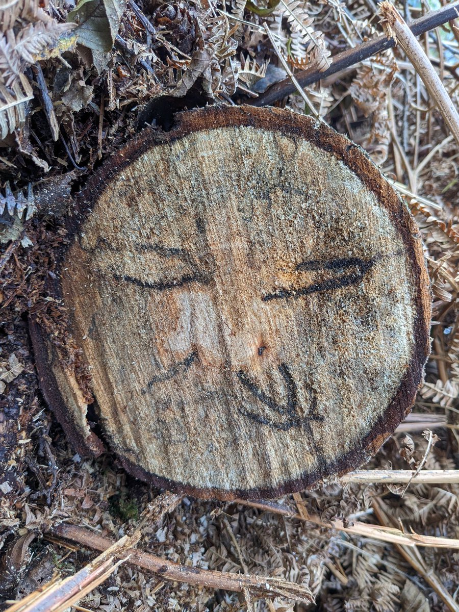 HawhillWoods's tweet photo. Ever feel like you're being watched? https://t.co/JEjCrg6wLW