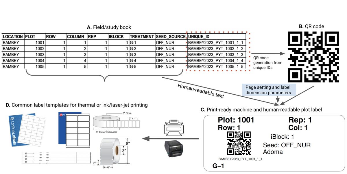 Our first R package! A free+easy way for under-resourced crop R&D programs (or anyone else) to make printer-ready QR labels - Bonus: best practices on experiment management are built-in 🌾💻🖨️🏷️ 🌍cran.r-project.org/web/packages/q… @CropImprovement @BiovIntCIAT_eng @KNUSTGH @CSUAgSci