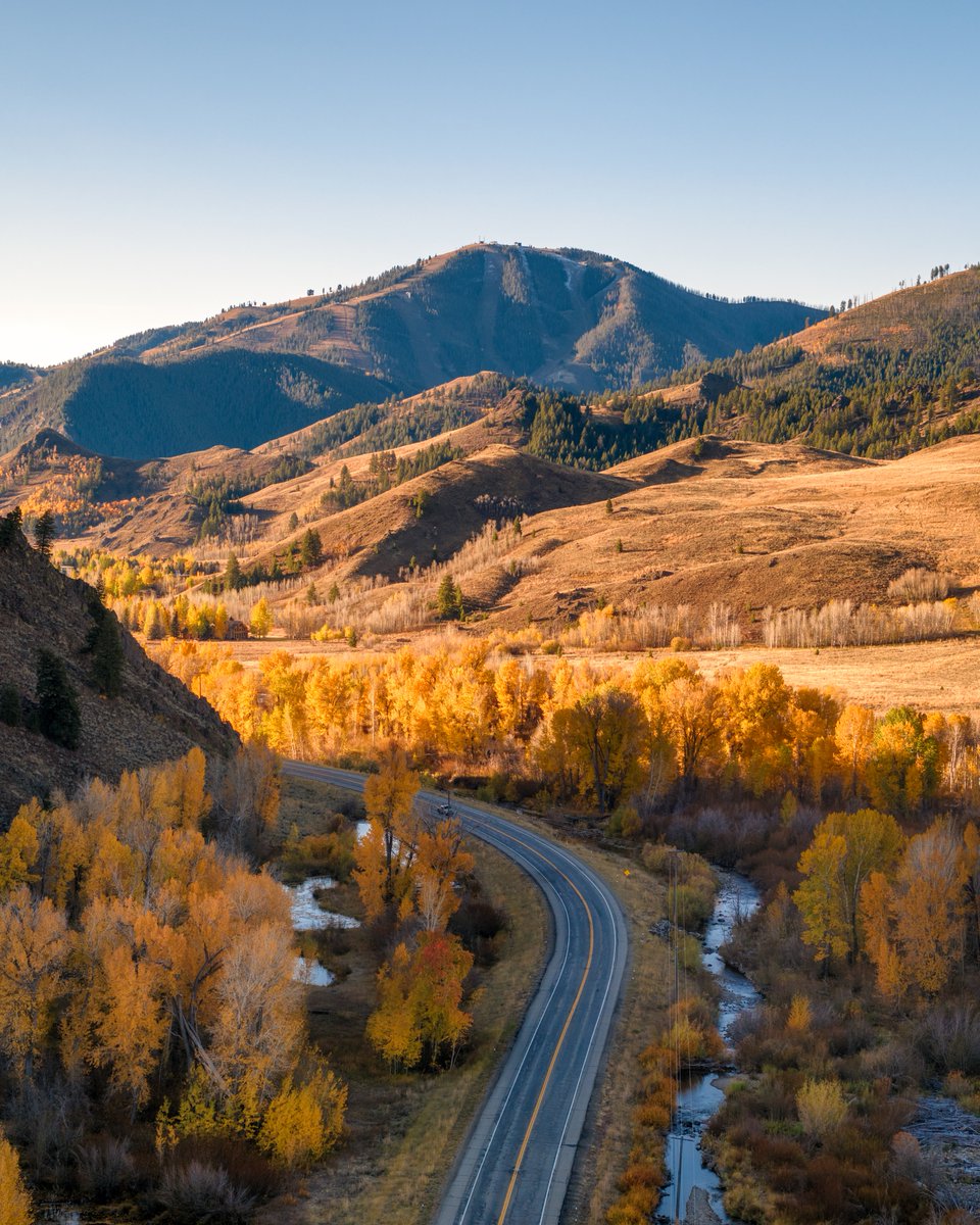 sunvalley's tweet photo. We're definitely not sick of these fall leaves... 🍂✨🌞

#gloriousfall 
#baldy 
#sunvalleystoke https://t.co/j52OEDONd7