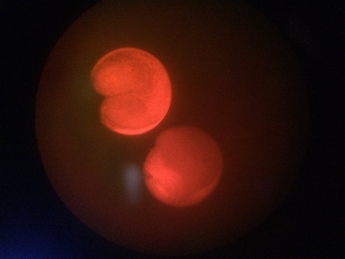 Martin Knytl tweet media